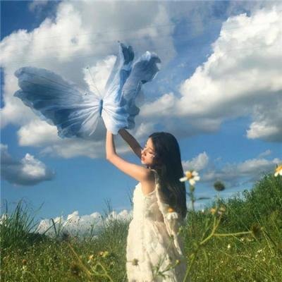 请给我寄粉丝信